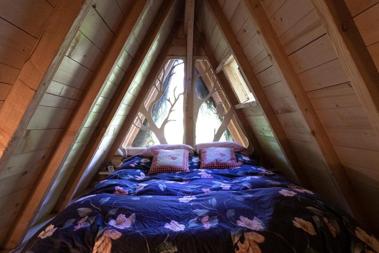L'Arbre A Cabane Guyonvelle Kültér fotó