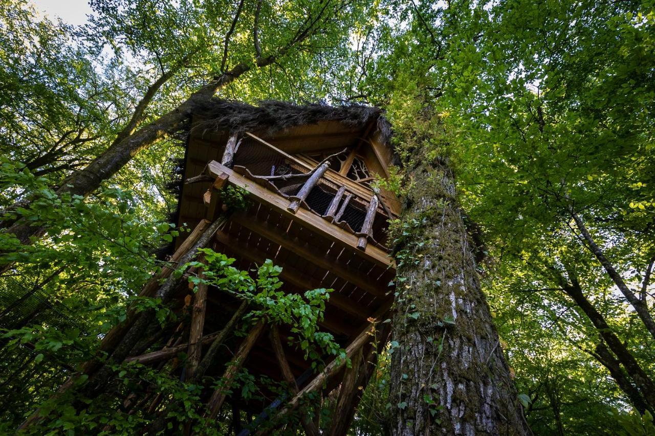 L'Arbre A Cabane Guyonvelle Kültér fotó