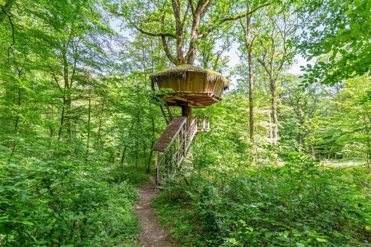L'Arbre A Cabane Guyonvelle Kültér fotó